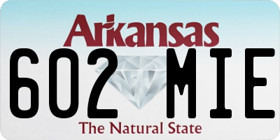 AR license plate 602MIE