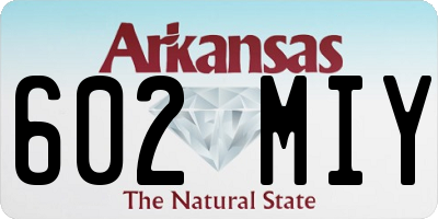 AR license plate 602MIY
