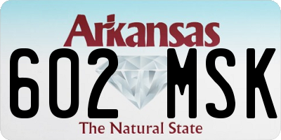 AR license plate 602MSK