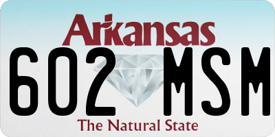 AR license plate 602MSM