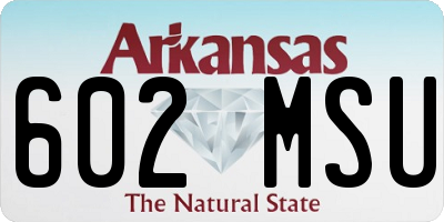 AR license plate 602MSU