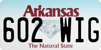 AR license plate 602WIG