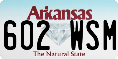 AR license plate 602WSM