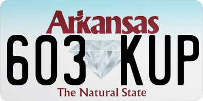 AR license plate 603KUP