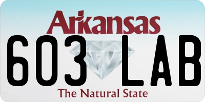 AR license plate 603LAB