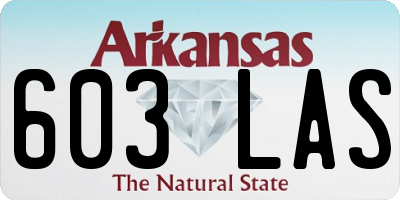 AR license plate 603LAS