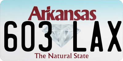 AR license plate 603LAX