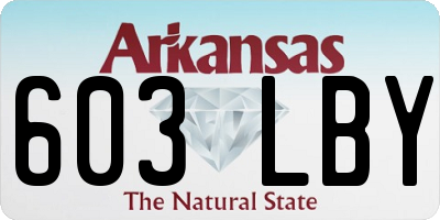 AR license plate 603LBY