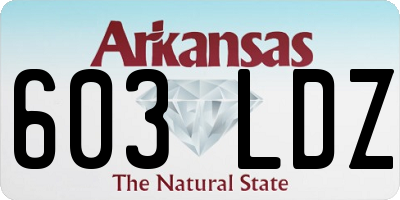 AR license plate 603LDZ