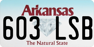 AR license plate 603LSB