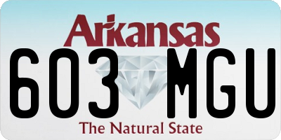 AR license plate 603MGU