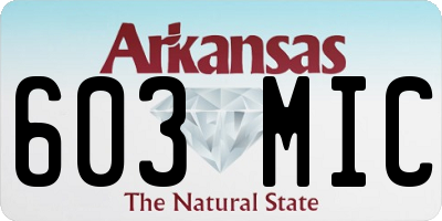 AR license plate 603MIC