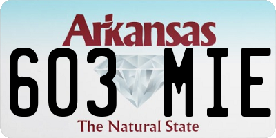 AR license plate 603MIE