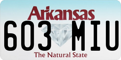 AR license plate 603MIU