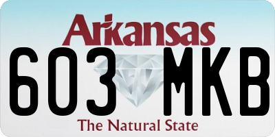 AR license plate 603MKB