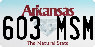 AR license plate 603MSM