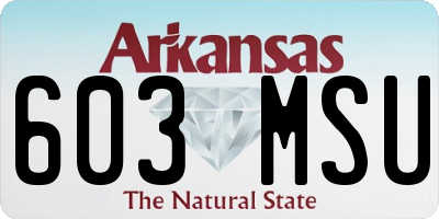 AR license plate 603MSU