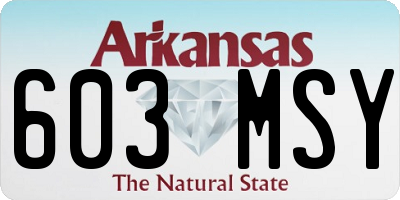 AR license plate 603MSY