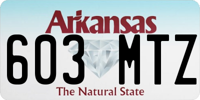 AR license plate 603MTZ