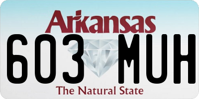 AR license plate 603MUH