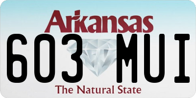 AR license plate 603MUI