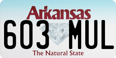 AR license plate 603MUL