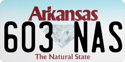 AR license plate 603NAS