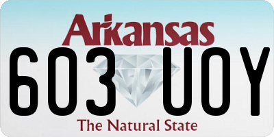 AR license plate 603UOY