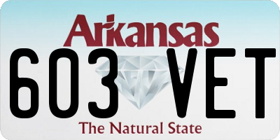 AR license plate 603VET