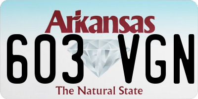 AR license plate 603VGN