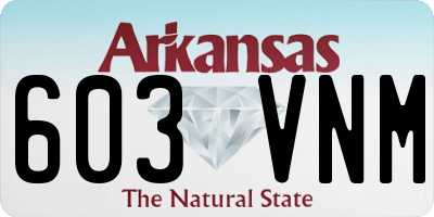 AR license plate 603VNM