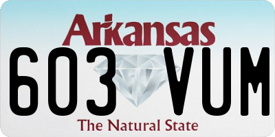 AR license plate 603VUM