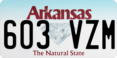 AR license plate 603VZM