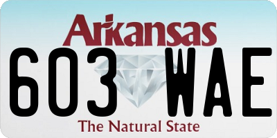 AR license plate 603WAE