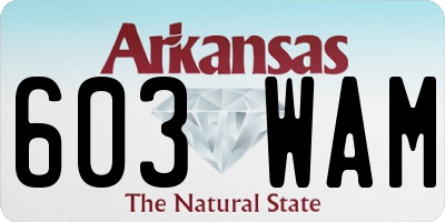 AR license plate 603WAM