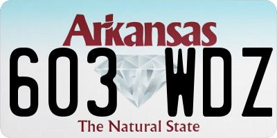 AR license plate 603WDZ