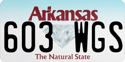 AR license plate 603WGS