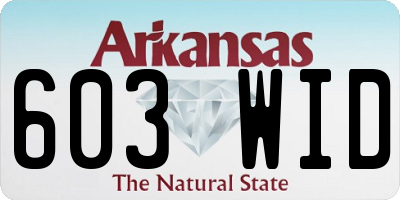 AR license plate 603WID