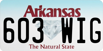 AR license plate 603WIG