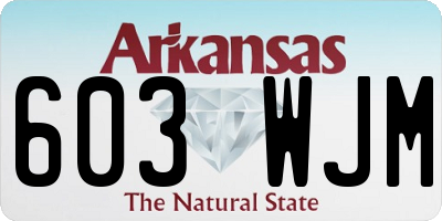 AR license plate 603WJM