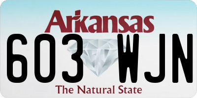 AR license plate 603WJN