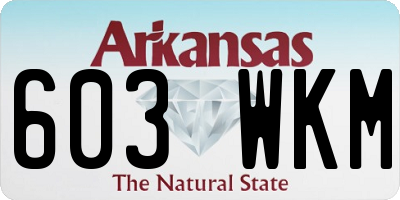 AR license plate 603WKM