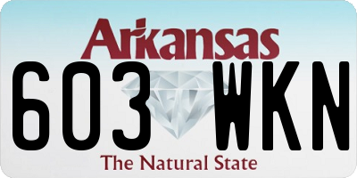 AR license plate 603WKN