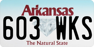 AR license plate 603WKS