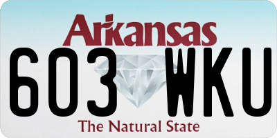 AR license plate 603WKU
