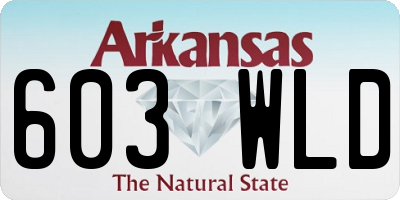 AR license plate 603WLD