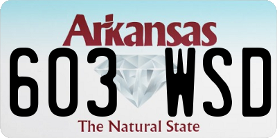 AR license plate 603WSD