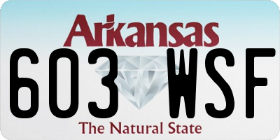AR license plate 603WSF