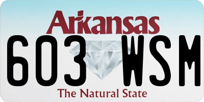 AR license plate 603WSM