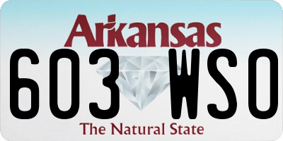 AR license plate 603WSO